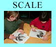 scale